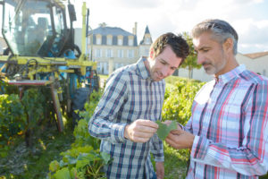 Top Season délegue du personnel dans le secteur viticole - vinicole